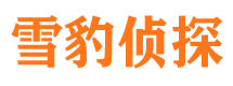 孟连市私家侦探